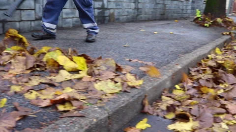 Leaf Blower 動画素材 148978283