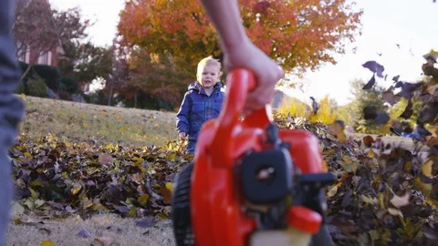 Leaf blower pushes leaves into a pile surrounding an excited toddler Stock Footage 93886231