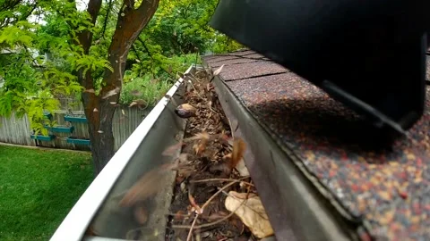 A leaf blower is seen blowing leaves and debris out of a rain gutter on a Stock Footage 139803576