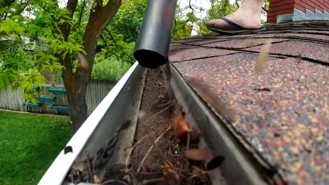 A leaf blower is seen blowing leaves and debris out of a rain gutter on a Stock Footage 139803610