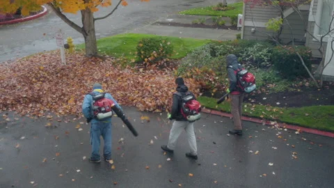 Leaf Blowers Clearing a path During Autumn Stock-Footage 149562412
