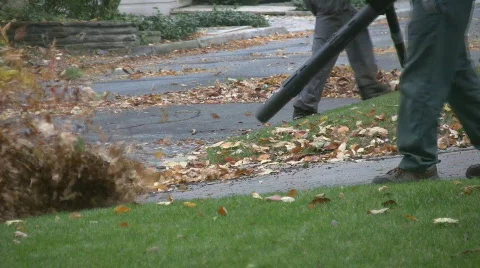 Leaf Blowers. Stock Footage