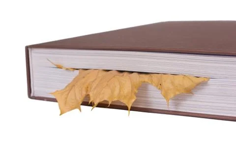 Leaf bookmark Stock Photos