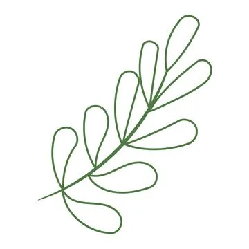 Leaf branch line green doodle element icon Stock Illustration