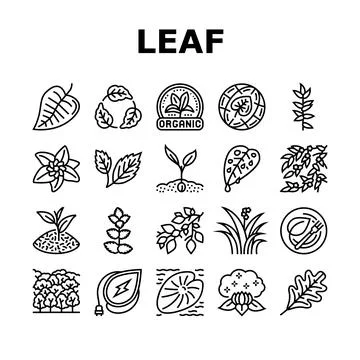 Leaf Branch Natural Foliage Tree Icons Set Vector Illustrazione stock
