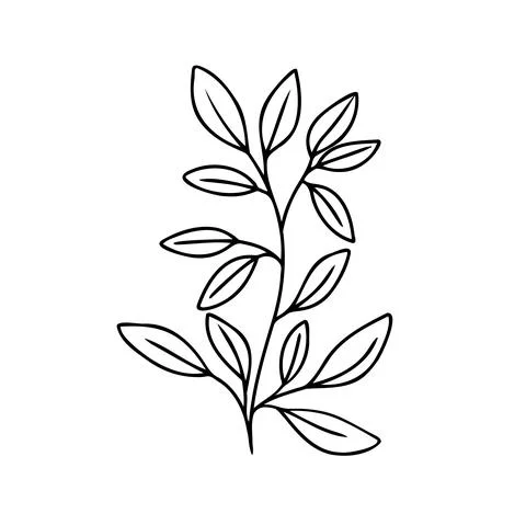 Leaf branch vector outline silhouette. Eco icon Modern Minimalist black leaves Stock Illustration