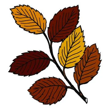 Leaf branches illustration vector design Stock Illustration