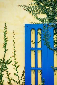 Leaf on brick wall background Stock Photos