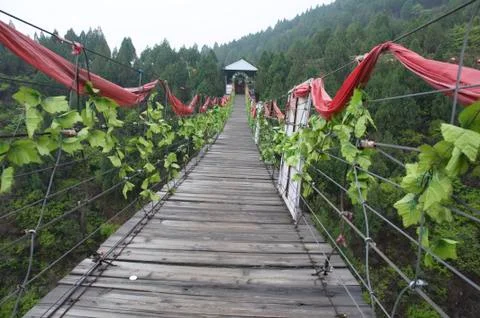 Leaf bridge Foto stock