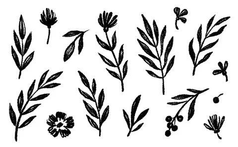 Leaf brush hand drawn ink elements. Black crayon texture brush abstract olive イラスト素材