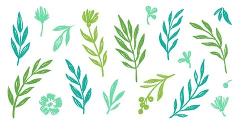Leaf brush hand drawn ink elements. Green crayon texture brush abstract olive Stock Illustration