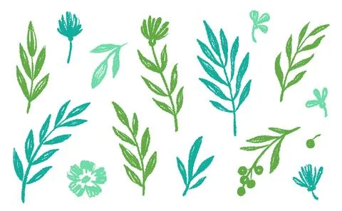 Leaf brush hand drawn ink elements. Green crayon texture brush abstract olive Stock Illustration