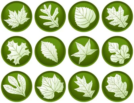 Leaf buttons Illustration