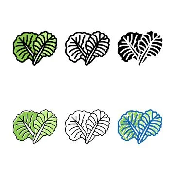 Leaf cabbage color icon vector set Stock Illustration
