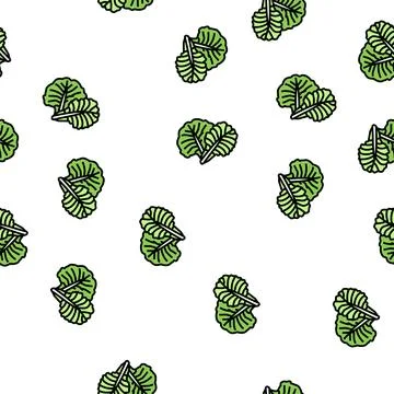 Leaf cabbage vector seamless pattern 스톡 일러스트