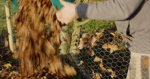 Leaf cage being filled with leaves Stock Footage 120608230