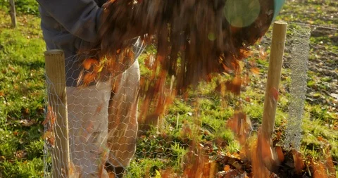 Leaf cage being filled with leaves Stock Footage 120608241