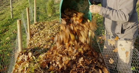 Leaf cage being filled with leaves Stock Footage 120608345