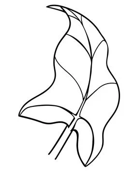 Leaf, calla inflorescence - vector coloring picture, for logo or pictogram. Stock Illustration