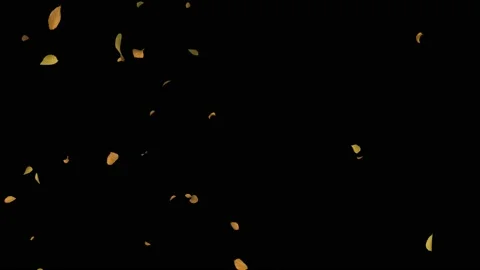 LEAF CAM 1 OPT 2,Autumn Leaves Flying, Dry leaves flying Stock Footage 210225012