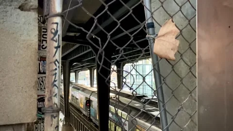Leaf Caught in Fence Overlooking Sydney Train Vidéo 306714218