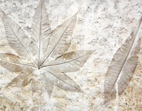 Leaf cement Stock Photos