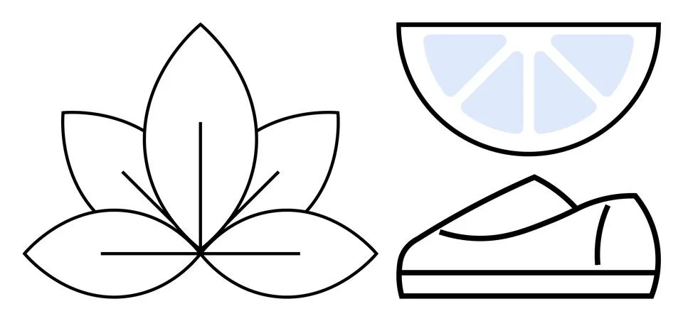 Leaf with central lines, lemon slice with light blue segments, and minimalist Illustrazione stock