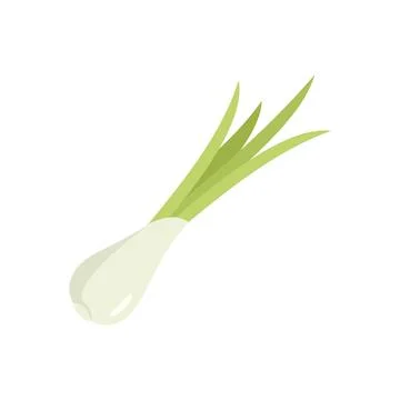 Leaf chive icon flat vector. Fresh onion Stock Illustration
