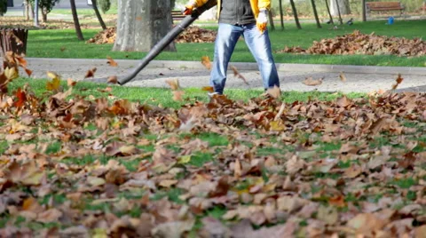 Leaf cleaner HD 1080p Stock Footage 996316