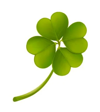 Leaf clover Stock-Illustration
