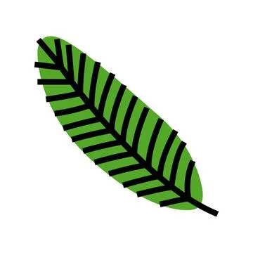 Leaf coconut coco color icon vector illustration Stock Illustration