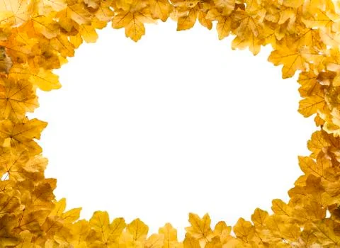 Leaf collage background Stock Photos