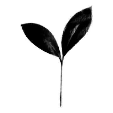 Leaf collage. Design element in trendy dotted pop art style. Retro halftone.. Illustrazione stock