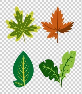 Leaf collection vector, leaf vector, leaf art, leaf design, leaf logo Stock Illustration