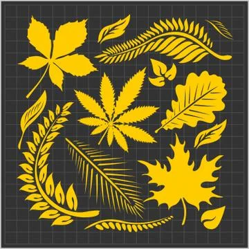 Leaf collection - vector set Stock Illustration