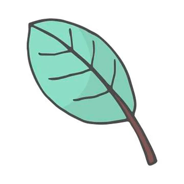 Leaf color doodle nature. Vector illustration isolated on white background. Stock Illustration