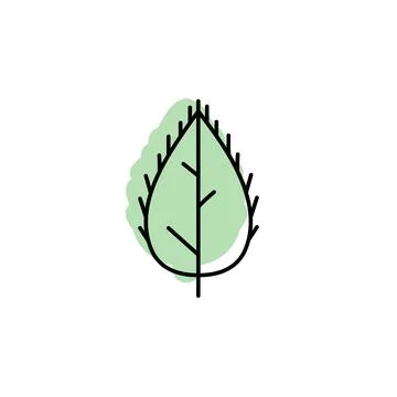 Leaf with color shadow vector icon in leaves set 스톡 일러스트