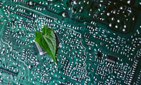 Leaf on the converging point of computer circuit board. Green computing, Gr.. Stock Photos