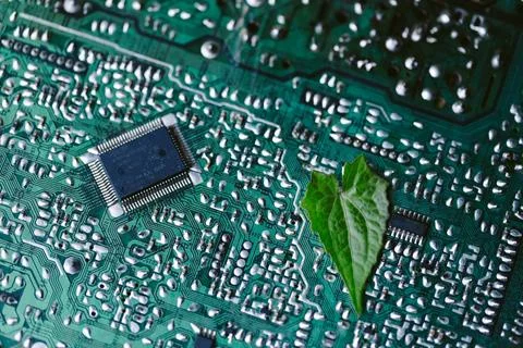 Leaf on the converging point of computer circuit board. Green computing, Gr.. Stock Photos