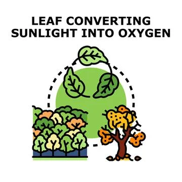 Leaf converting sunlight into oxygen concept illustration Stockillustratie
