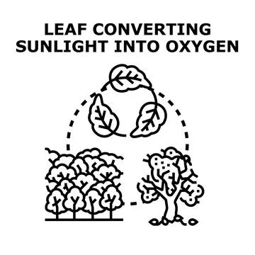 Leaf converting sunlight into oxygen concept illustration 스톡 일러스트