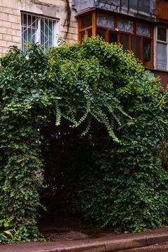 Leaf corridor to the flat door Stock-Fotos