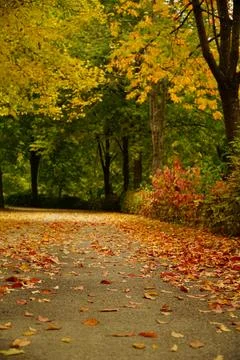 A leaf-covered path through autumn trees in a park in Luxembourg Stock Photos