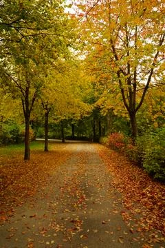 A leaf-covered path through autumn trees in a park in Luxembourg Stock Photos