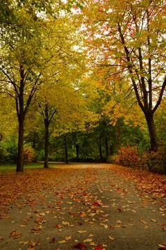 A leaf-covered path through autumn trees in a park in Luxembourg Stock Photos