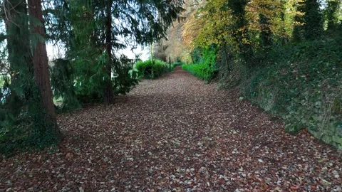 Leaf Covered Pathway With Gate and Trees 4K Vidéo 333925583