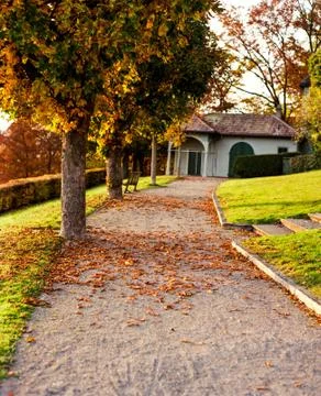 Leaf covered pathway Stock Photos
