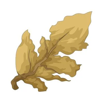 Leaf crack illustration Stockillustratie