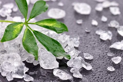 Leaf with crushed ice Stock Photos