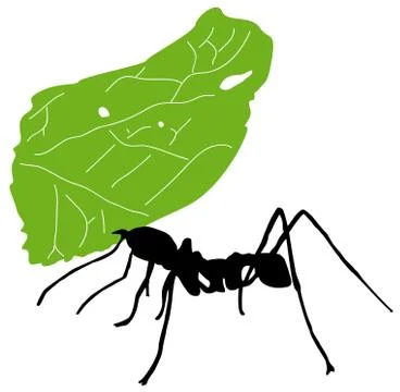 Leaf cutter ant Illustrazione stock